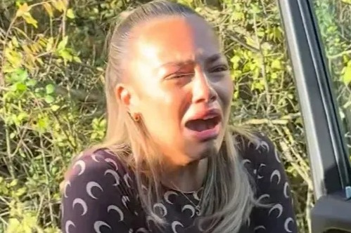 NINTCHDBPICT001035202648