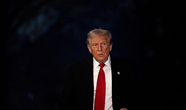 US President Donald Trump has ordered officials to examine whether to designate some chapters of the Muslim Brotherhood as terrorist groups