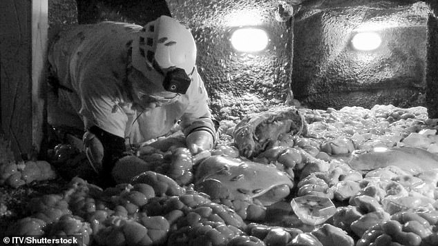 Lisa Riley scooped an impressive eight stars in her first solo Bushtucker Trial, Mine Of Misery on I'm A Celebrity on Sunday night