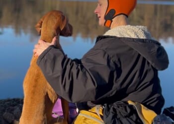 Swimming in wild, open water is the antithesis of a noisy, chlorine-filled pool, writes Jane Clarke, pictured with her dog Kuomi