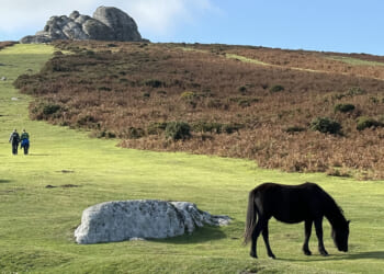 In England’s countryside, remember to keep calm and motor on