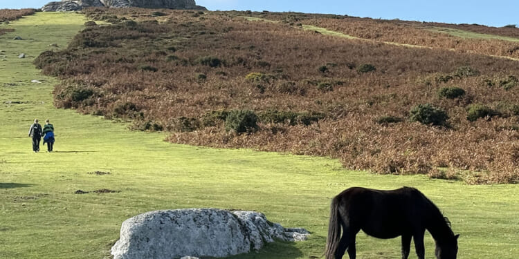 In England’s countryside, remember to keep calm and motor on