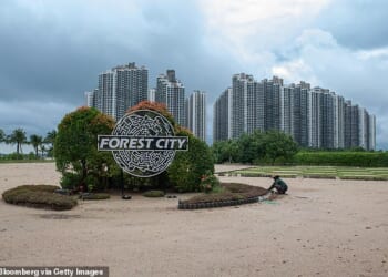 Forest City was developed by Chinese company Country Garden their Belt and Road Initiative project that started in 2016