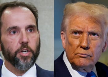 A talk-show panelist presented an intriguing theory as to why special counsel Jack Smith called his investigation of Donald Trump "Arctic Frost."