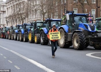 A protester demands greater support for farmers during a London rally last year