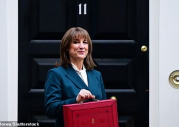 Rachel Reeves revealed a £30billion tax hike on workers during her Budget last week