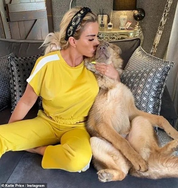 Katie's third Alsatian, Sparkle, tragically passed away in a very similar way to her late German shepherd Queenie (Sparkle pictured)