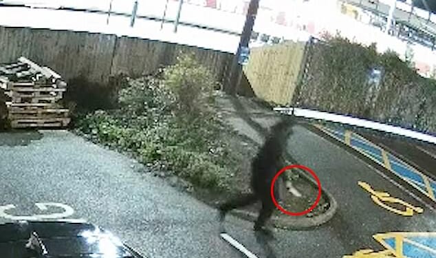 Chilling: The black-clad man holding a knife strolls away from the train after causing carnage. Sources confirmed that the suspect had a history of mental-health issues and was known to the authorities previously