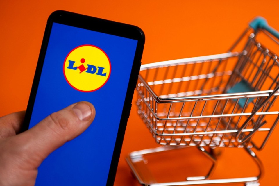 A hand holding a smartphone displaying the Lidl logo next to a miniature shopping cart.