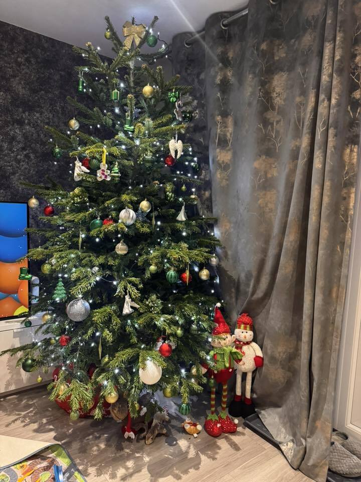 A tall, decorated Christmas tree with lights and ornaments, next to patterned curtains.
