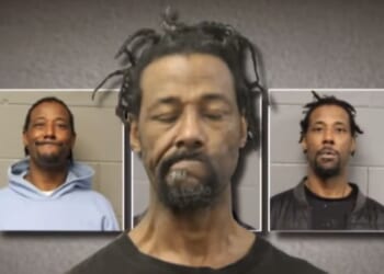 Man Accused of Setting Woman on Fire on Chicago Train Has 49 Previous Arrests, 10 Felonies