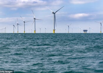 The man is believed to have fallen from a catamaran near the Rampion Offshore Wind Farm (pictured, stock photo)