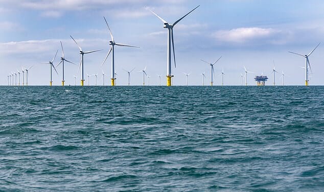 The man is believed to have fallen from a catamaran near the Rampion Offshore Wind Farm (pictured, stock photo)