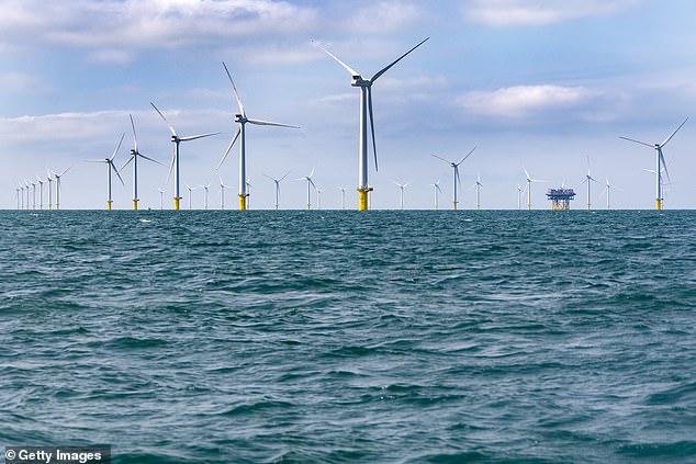 The man is believed to have fallen from a catamaran near the Rampion Offshore Wind Farm (pictured, stock photo)