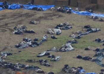 The killers left 314 ostriches dead, littered across the holding pen. In the quiet of the morning, a team in Hazmat suits arrived on the scene. The bodies were covered in tarpaulin before being carted off to a mass burial at a landfill site