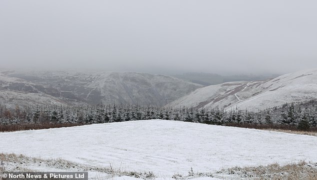 Snow falls over Kidlandlee in Northumberland this morning with more on the way this week