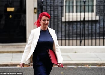 The ruling comes after former Labour Transport Secretary Louise Haigh was forced to step down once it emerged she has an historic fraud conviction