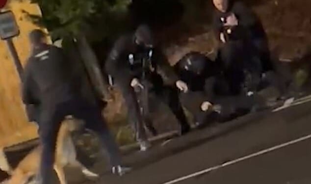 This is the dramatic moment one of the Huntingdon train stabbing suspects is tasered and arrested by armed police