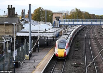 Witnesses who were onboard when the Huntingdon train 'terror' attack unfolded have recalled the terrifying moment a victim came running down the carriage screaming 'someone's got a knife' (Pictured: The train still parked on the platform this morning)