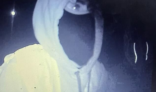 Hooded men were filmed with their 'power tools' on a hidden camera as they removed the banners at the De Luci Fish roundabout in Erith, London