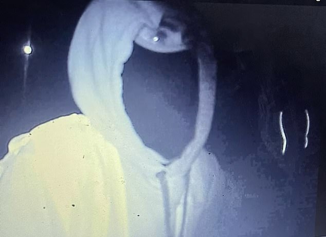 Hooded men were filmed with their 'power tools' on a hidden camera as they removed the banners at the De Luci Fish roundabout in Erith, London