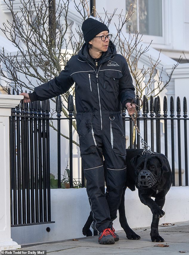 The giant mastiff that savaged a Jack Russell belonging to Tom Parker Bowles has been spotted wearing a muzzle one week after the sickening attack