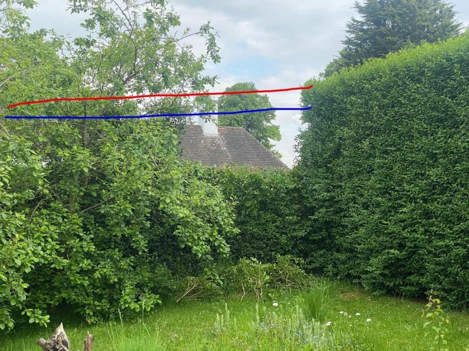 NINTCHDBPICT001035867296