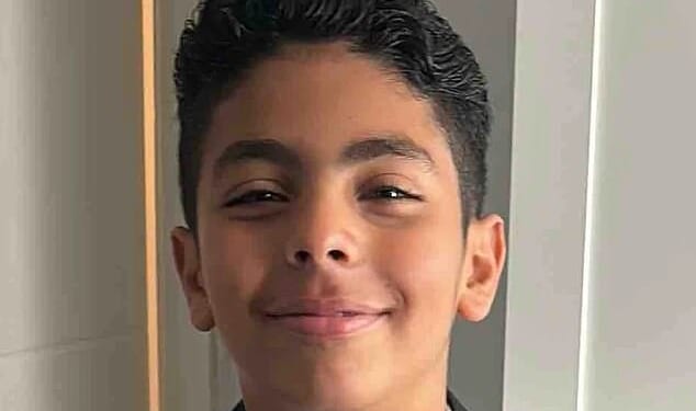 Jaiden Shehata (pictured) had been walking to school when the tragic accident took place at around 8.03am on January 23 near Kenley, south London