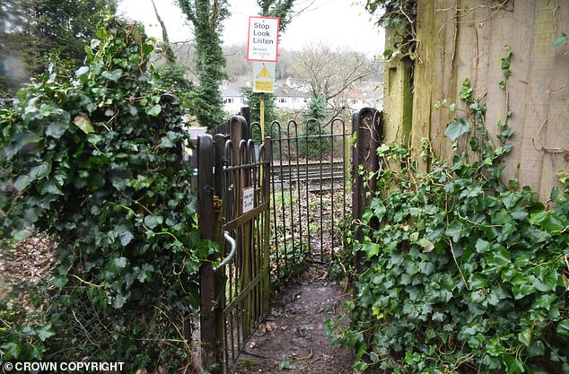 A report by the Rail Accident Investigation Branch (RAIB) published last week highlighted how the design and construction of the Bourneview crossing, in Kenley, south London, was a causal factor in the youngster's death