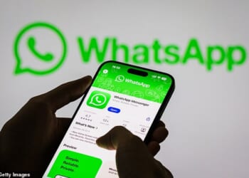 WhatsApp is so addictive it can dictate the whole direction of my day. I’m now in so many chats I have to ‘archive’, or hide, some of them to stay sane. I ration myself to peeking once a fortnight – just to check I’m not being talked about, writers Nadine Dorries