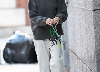 Naomi Watts surfaced in New York this Tuesday, in her first sighting since her amicable ex Liev Schreiber was hospitalized for a health scare over the weekend