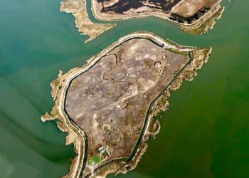 Point Buckler Island sits in the northeastern part of the San Francisco Bay. It was purchased by the John Muir Land Trust for $3.8million after it was seized from its previous owner, John Sweeney