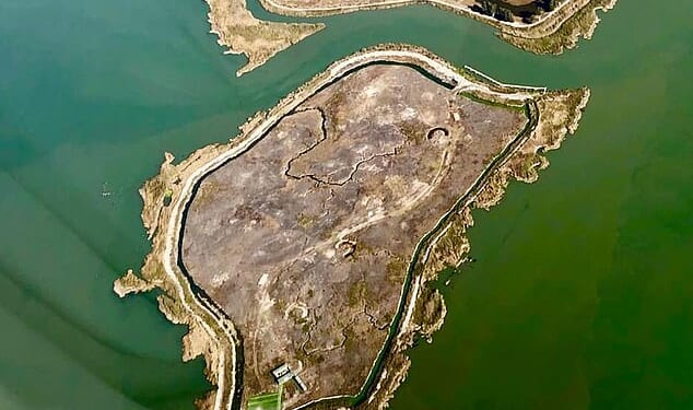 Point Buckler Island sits in the northeastern part of the San Francisco Bay. It was purchased by the John Muir Land Trust for $3.8million after it was seized from its previous owner, John Sweeney