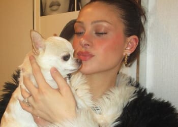 Nicola Peltz claims her beloved chihuahua Nala was left injured and in severe physical distress after a routine grooming at HoundSpa's mobile van in Bedford, New York last year
