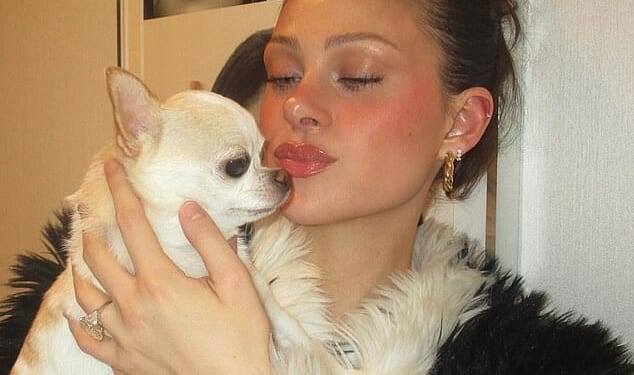 Nicola Peltz claims her beloved chihuahua Nala was left injured and in severe physical distress after a routine grooming at HoundSpa's mobile van in Bedford, New York last year