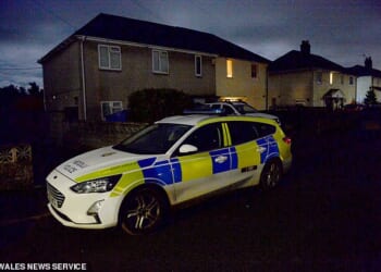 The incident happened at an address in Crossway, Rogiet, at around 6pm on Sunday