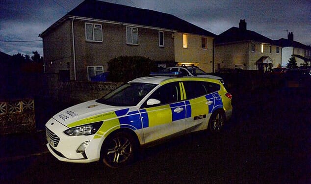 The incident happened at an address in Crossway, Rogiet, at around 6pm on Sunday