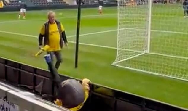 St Albans City mascot Sammy the Saint tumbled over an advertising hoarding before his side's clash with Burton Albion on Saturday