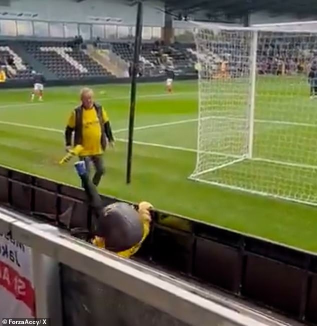 St Albans City mascot Sammy the Saint tumbled over an advertising hoarding before his side's clash with Burton Albion on Saturday