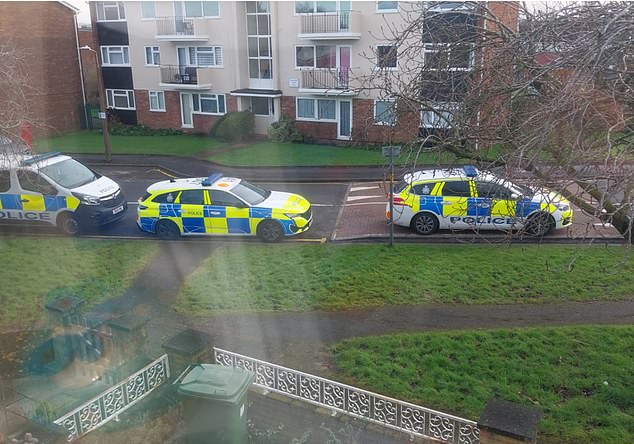 Police patrol cars lined the street outside the couple's home on the day of their public arrest