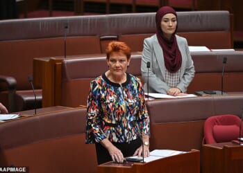 Pauline Hanson (pictured) has been suspended from the Senate for seven days