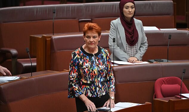 Pauline Hanson (pictured) has been suspended from the Senate for seven days