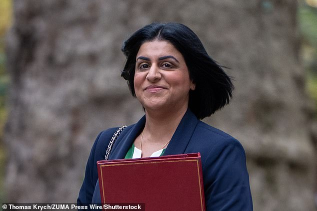 It comes after Home Secretary Shabana Mahmood (pictured on November 18)  insisted she is bringing in 'sweeping' reforms with Channel boat arrivals