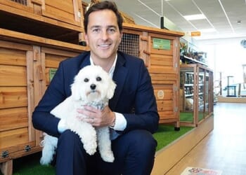 Pets Corner tycoon Dean Richmond (pictured) issued a grovelling apology after a huge fireworks display at his £4m estate left a horse so badly injured it had to be put down