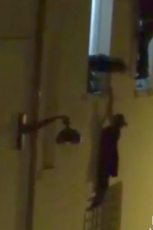 The then-pregnant woman was heard pleading in a video, which was seen all over the world, capturing the incident: 'Help, help, I¿m pregnant, catch me if I fall'