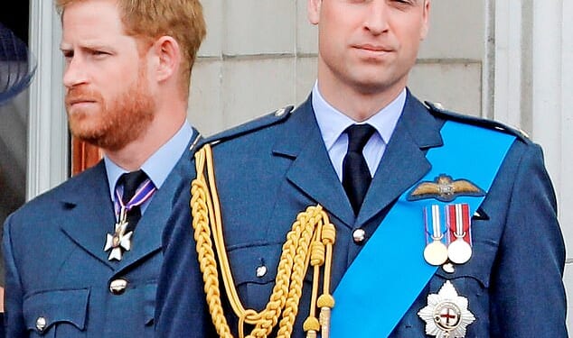 The royal brothers, pictured in 2018, have a long-reported rift which shows no sign of abating, but the Duke's spokesperson insisted the visit had been almost a year in the making