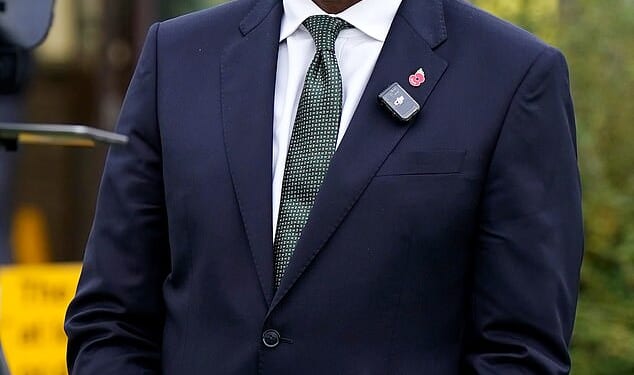 David Lammy (pictured) is facing fresh humiliation after it was revealed that a prisoner who was freed by mistake in March 2024 is reportedly still at large