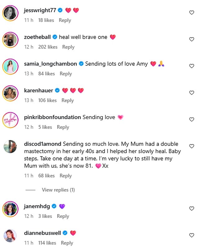 Fans and famous faces took to the comments including Zoe Ball, Dianne Buswell and Karen Hauer to wish Amy well