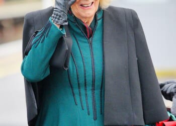 The Queen jumped onboard a train today as she took part in a 'Poppies to Paddington' initiative to mark Armistice Day. Pictured at Chippenham train station in Wiltshire this morning
