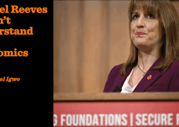 Rachel Reeves doesn’t understand basic economics | Emmanuel Igwe